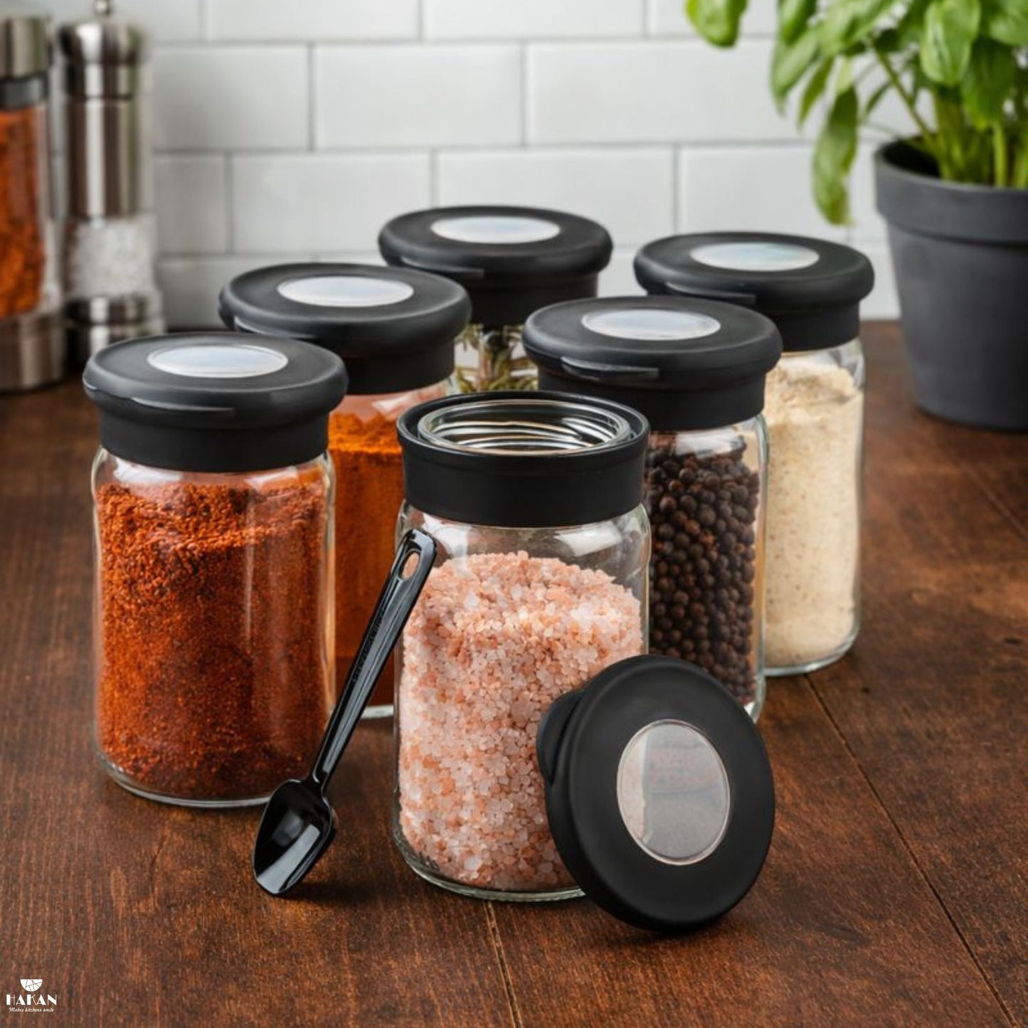 Glass Spice Jars Airtight Set of 6 with Spoons — 12.8 Oz
