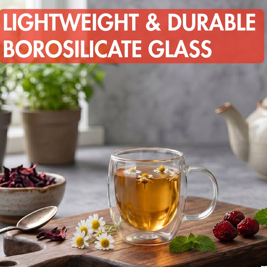 Double Wall Glass Coffee Mug with Handle — 11.8 Oz
