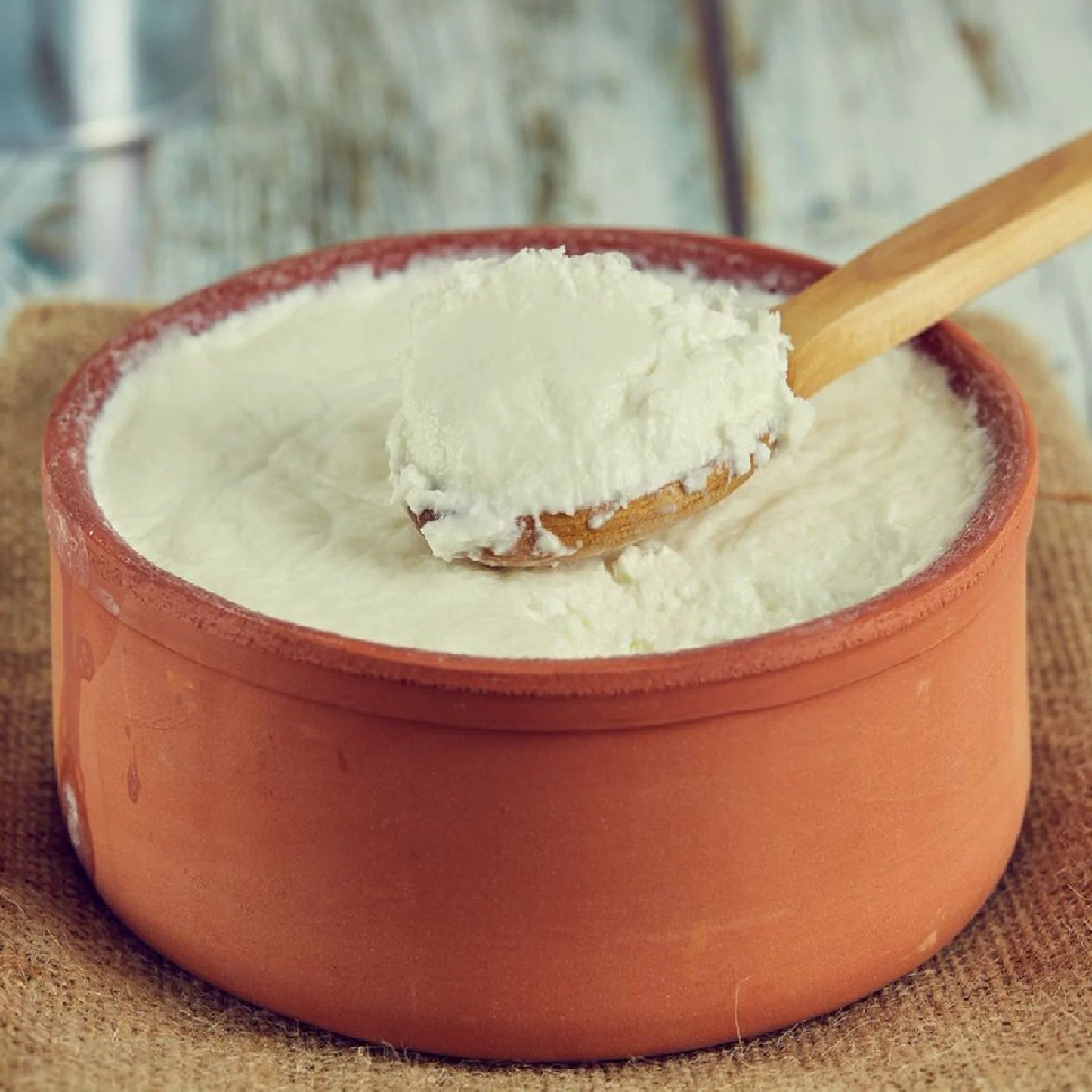 Terracotta Yogurt Bowl Glazed — 3 Sizes, Clay Earthen Pot