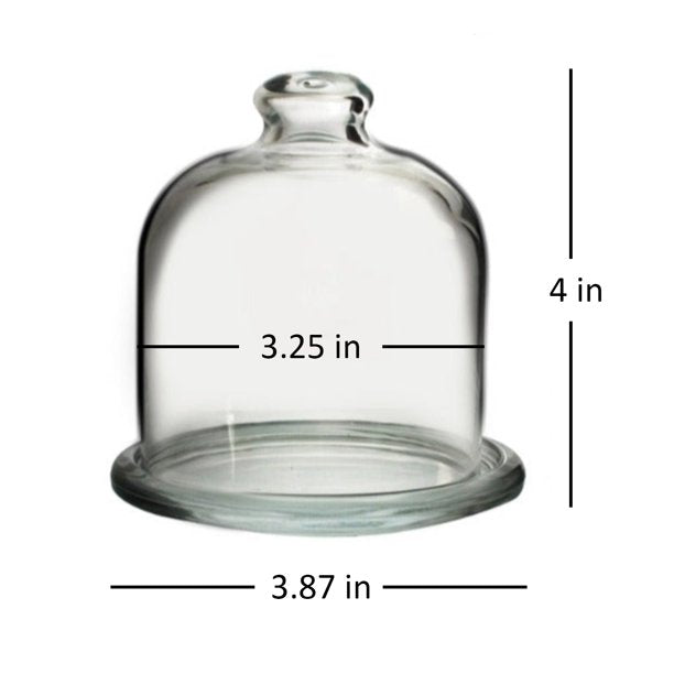 Pasabahce Glass Food Preservation Dish with Dome Lid — 4 Inch