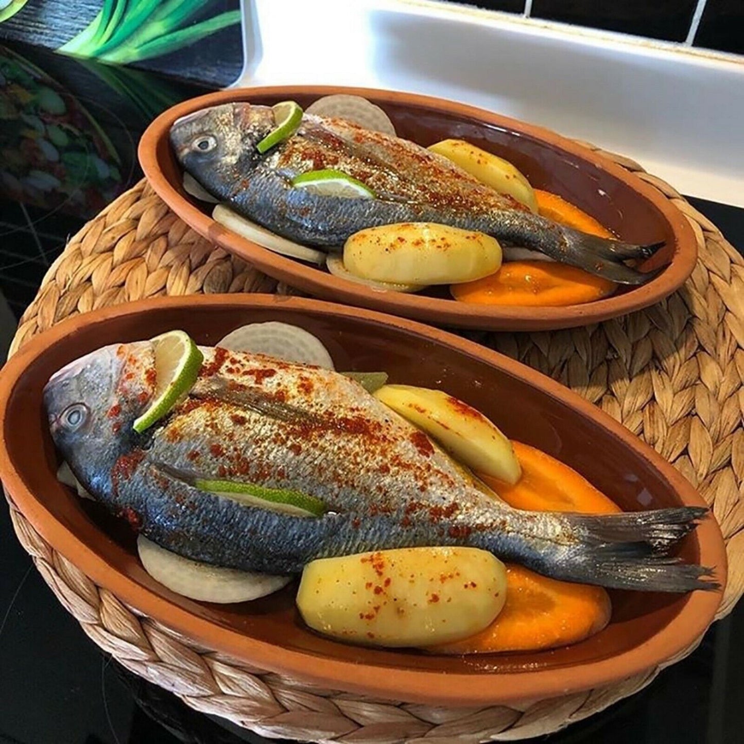 Glazed Terracotta Mini Pots Set of 4 — Oval, 4.3 x 7 Inch
